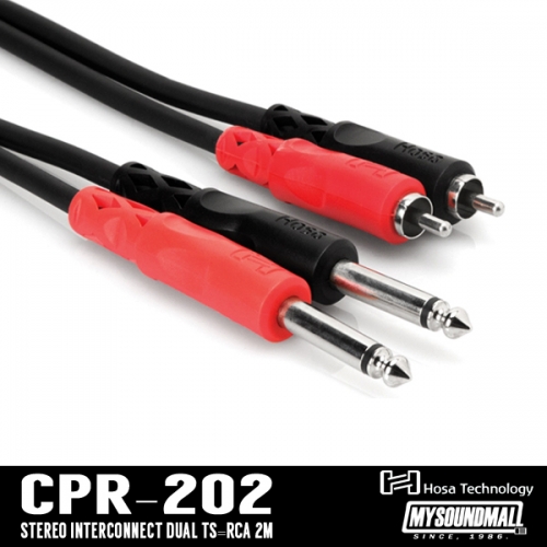 HOSA - CPR-202 RCA(2) - 2.5(1/4)(2) TS 스피커 케이블 등 인풋,아웃풋